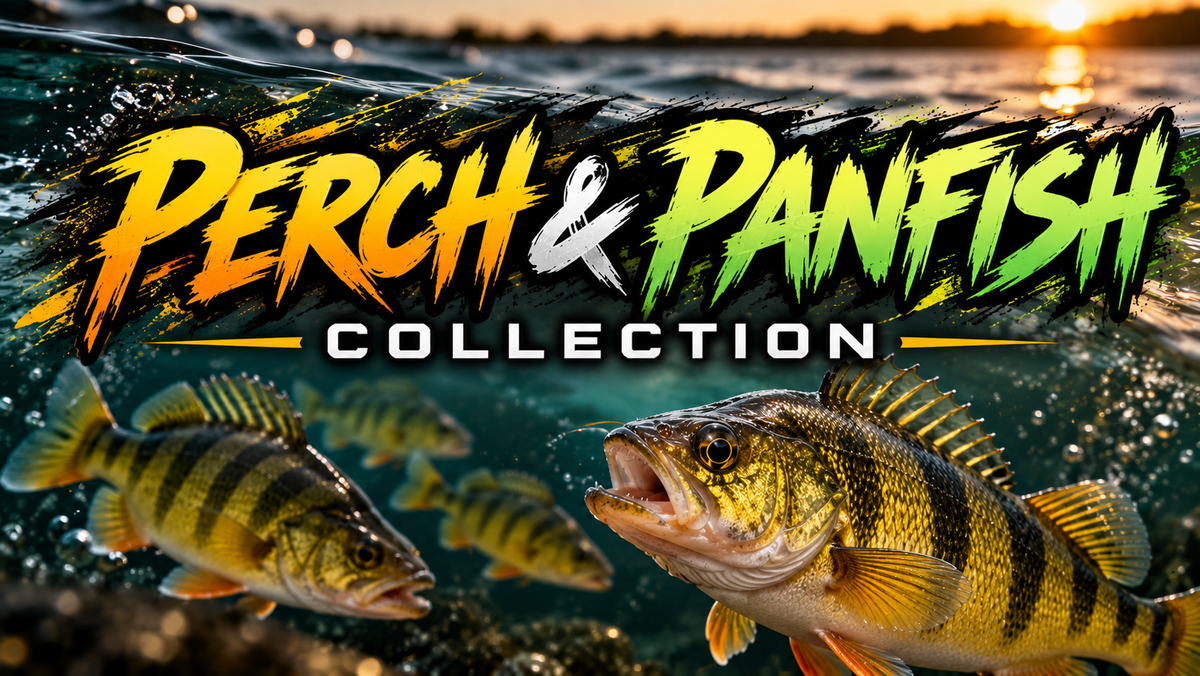 Perch & Panfish